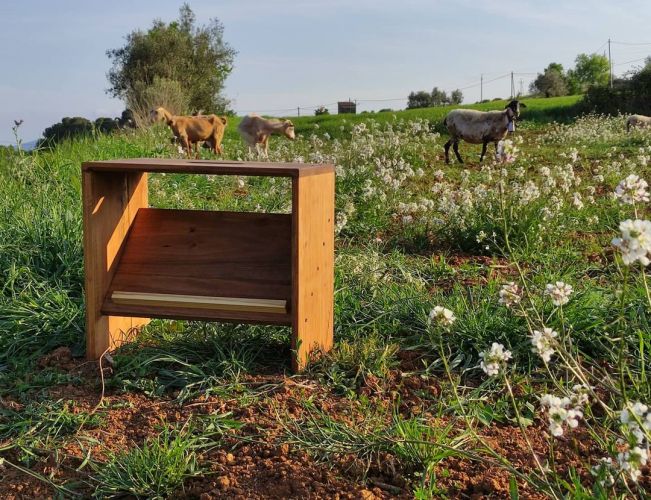 banco zapatero general 2